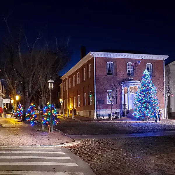 Big lit tree outside the Pacific National Bank at night
