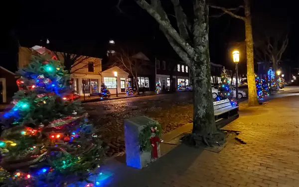 Lit trees lining Main Street’s cobblestones at night