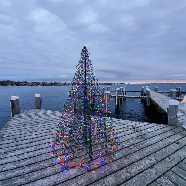 A light-strung tree on a wharf at dusk