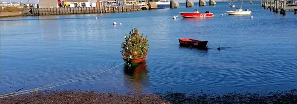 A decorated tree floating in a dory in the harbor