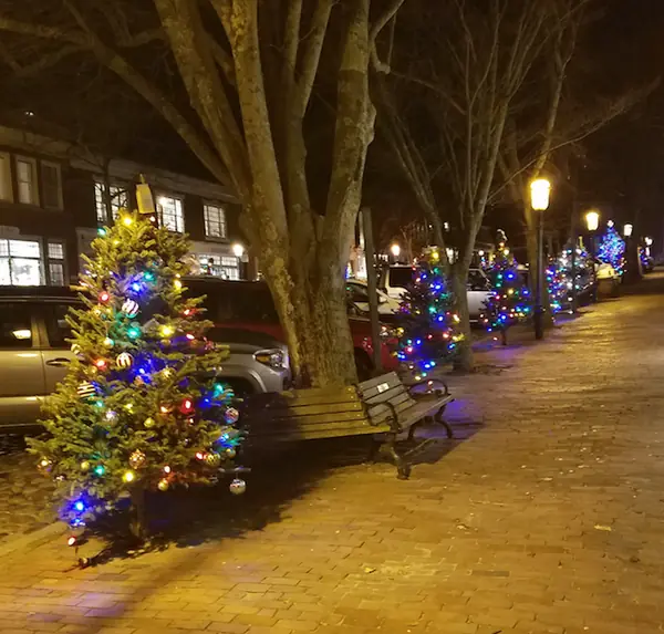 Row of lit Christmas trees on Main Street at night