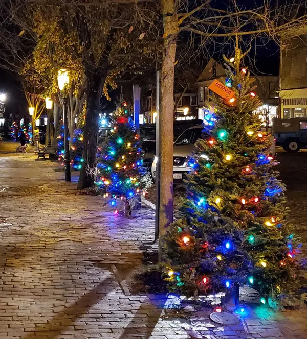 Colorful lit trees along a brick sidewalk at night