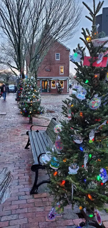 Tree with student-made ornaments near the 1772 building