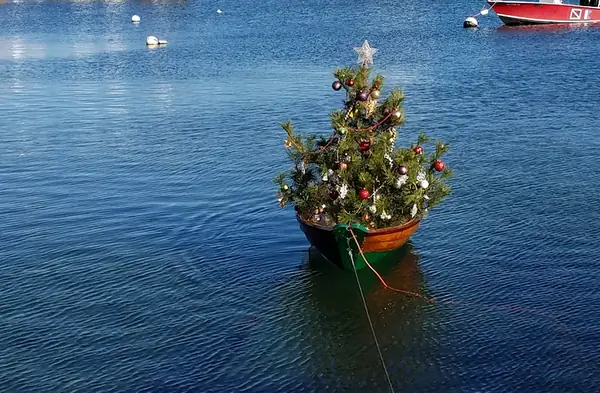 Close-up of the decorated tree in a dory