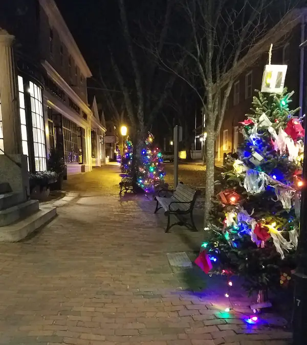 Decorated trees glowing along the sidewalk at night